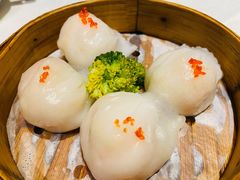 潮港虾饺皇-海联潮港城