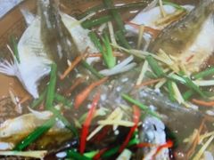 -柘林湖生态鱼馆