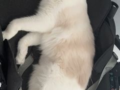 -美联众合24小时·皮肤科·外科·全科诊疗中心(华苑分院)