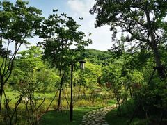 -镇江市南山风景名胜区竹林景区