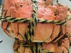 -乡乐园蟹庄·阳澄湖农家乐