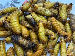 -鱼市酒店(威海水产批发市场店)