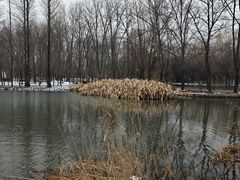 -洛阳市隋唐城遗址植物园