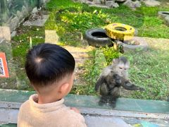 -西安秦岭野生动物园