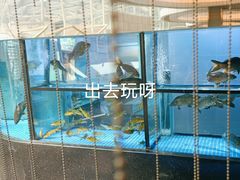 -王家渡火锅店(棕榈泉店)