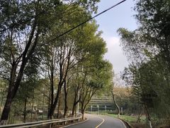 -许家山
