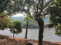 -凤岗南门山森林公园