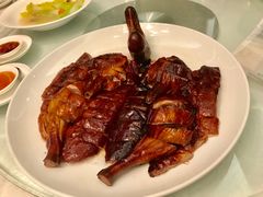 -康乐园乡村俱乐部