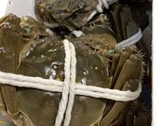 -黄记大闸蟹专卖店·活蟹·醉蟹
