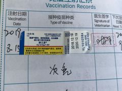-瑞派名望志远动物医院·猫科·內科·异宠专科(直港大道店)
