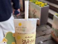 -猫的魔法密林(衣裳街店)