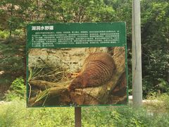 -湖洞水自然风景区