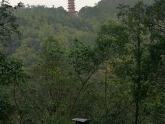 -大雁山风景区