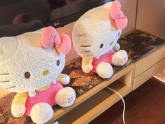 -上海崇明金茂凯悦酒店