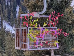 -丝绸之路山地度假区滑雪场