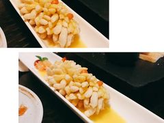 青木松鱼-梧桐