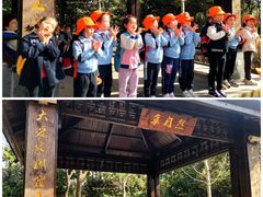 -小风车金桥丽都幼儿园(金桥店)