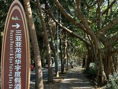 -三亚亚龙湾雅高美爵酒店