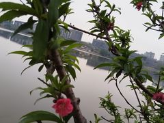 -松山湖风景区松湖烟雨