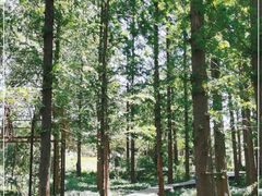 -国家植物园南园