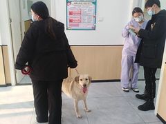 -瑞派雷欧宠物医院·24h夜诊·心脏骨科牙科·全科重症转诊中心(无影山店)