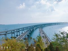 -星海湾跨海大桥