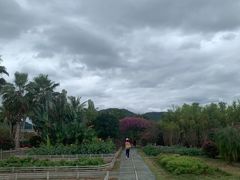 -亚龙湾国际玫瑰谷