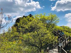 -大岭沟猕猴桃谷风景区