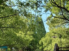 -东明山森林公园