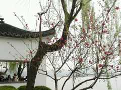 -西湖天地