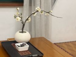 -依灵瑜伽普拉提连锁