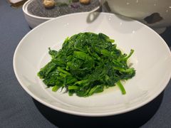 清炒云南豌豆尖-翠府(翠湖北路店)