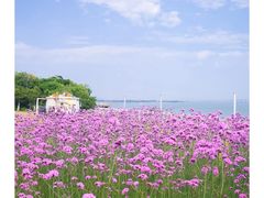 -崇武古城风景区