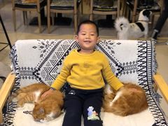 -平行世界·猫咖(首经贸店)