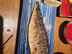 -鸟屯(三里屯店)