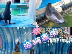 -华夏文旅海洋公园