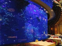 -迪拜帆船酒店海底餐厅