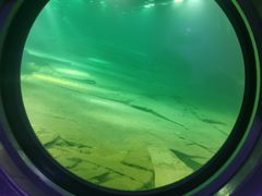 -白鹤梁水下博物馆