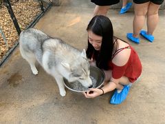 -TrueLove @ Neverland (Husky Cafe)