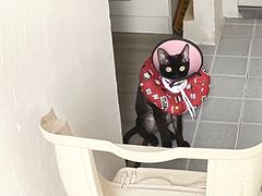 -联合动物医院(光谷诊疗中心)