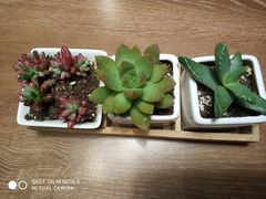 -必胜客(龙茗店)