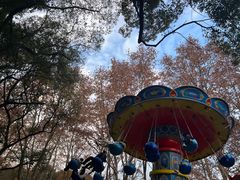 -上海共青森林公园