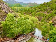 -云岫谷游猎自然风景区
