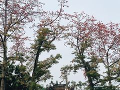 -西湖公园(鼓楼区)
