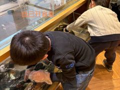 -十八字金银饰·拼豆·开蚌手工体验团建(君太百货店)