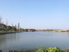 -广富林郊野公园