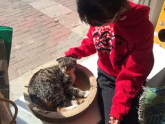 -平行世界·猫咖(首经贸店)