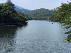 -江西阳明山国家森林公园