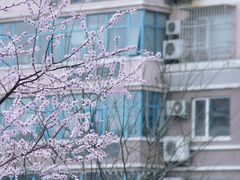 -北京华联购物中心(天通苑店)