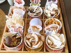 -菌自由丨野生菌火锅特色庭院餐厅(丽江古城店)